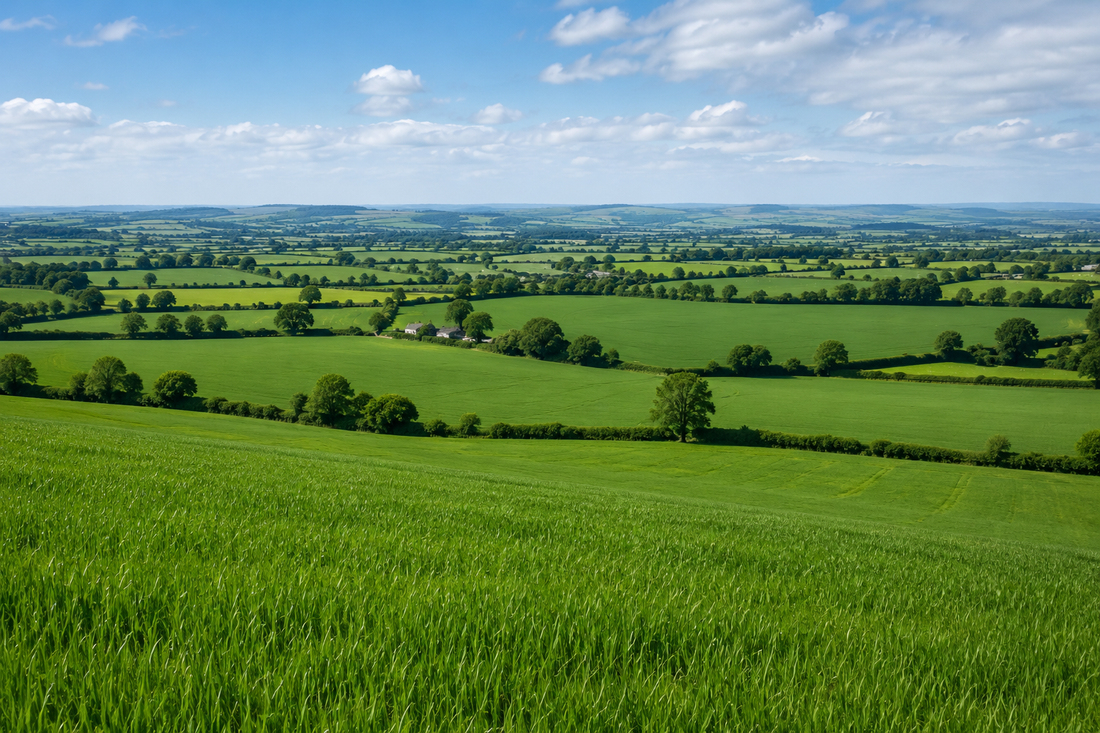 Large UK farm grasslands