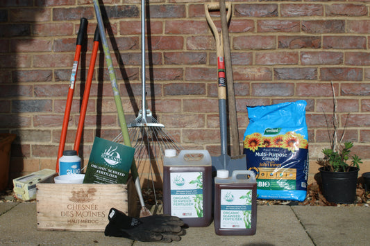 Best gardening tools on a patio