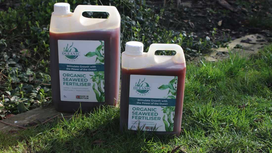 Liquid grass feed