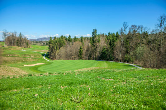 Golf course turf