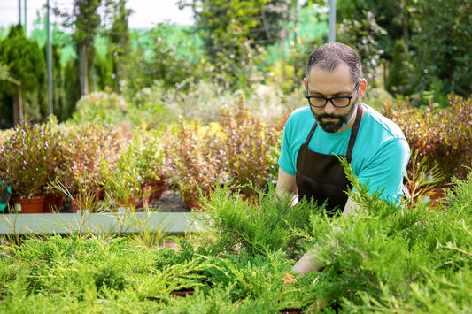 UK landscaper in the garden.