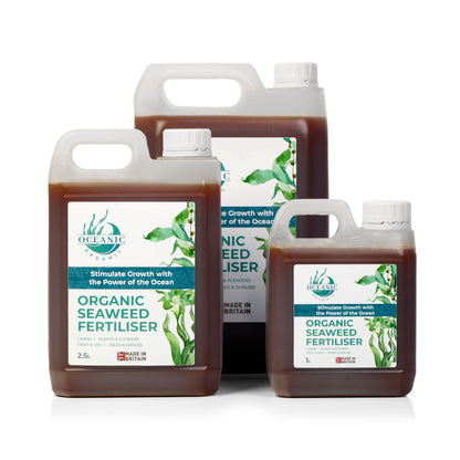 Organic Seaweed Fertiliser