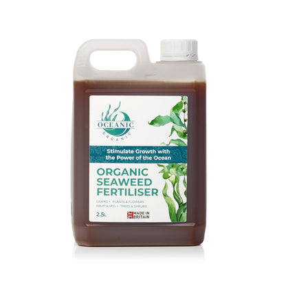 Organic Seaweed Fertiliser